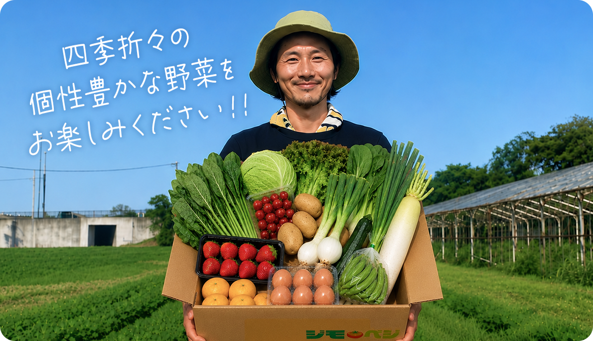 野菜セットイメージ
