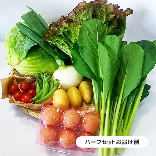野菜