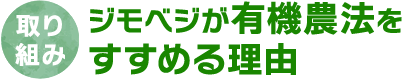 取り組み