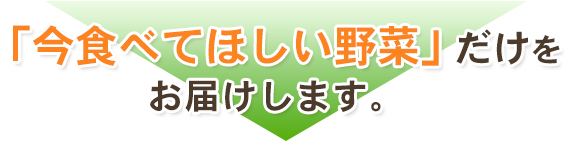 「今食べてほしい野菜」だけをお届けします