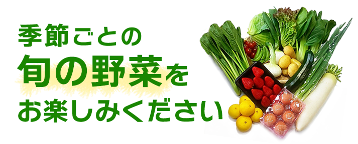 野菜セットイメージ