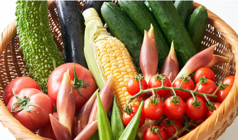 野菜セットイメージ